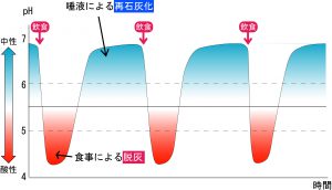 規則正しい食事をした場合、唾液による歯の再石灰化の時間が長くなり、虫歯になりにくい。